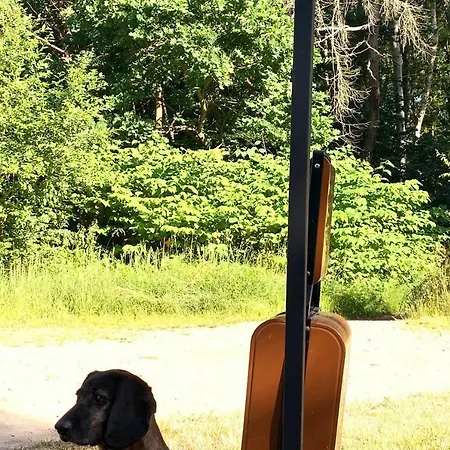 Patmos - A 304 - Aqua Polanki, Parking, Wellness Lejlighed *